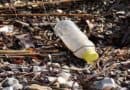 PET Bottle Recycling: Transforming Bottles back into Bottles