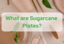 What are sugarcane plates and how they are made?
